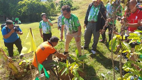 zip code tuburan cebu|Tuburan mayor: 11,000 bamboo seedlings for environment, livelihood o.